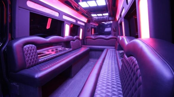 coeur dalene sprinter limo rental rental